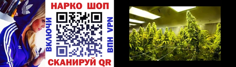 Альфа ПВП Чистополь