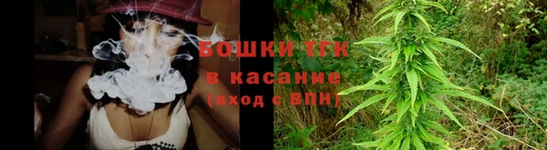 дживик Струнино