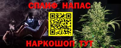 сатива Обнинск