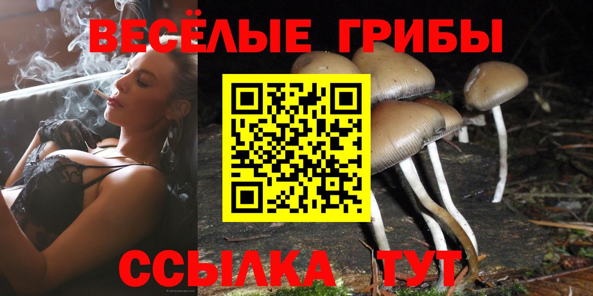 Псилоцибиновые грибы GOLDEN TEACHER  Вход с VPN  Псилоцибиновые грибы Cubensis  Чистополь 