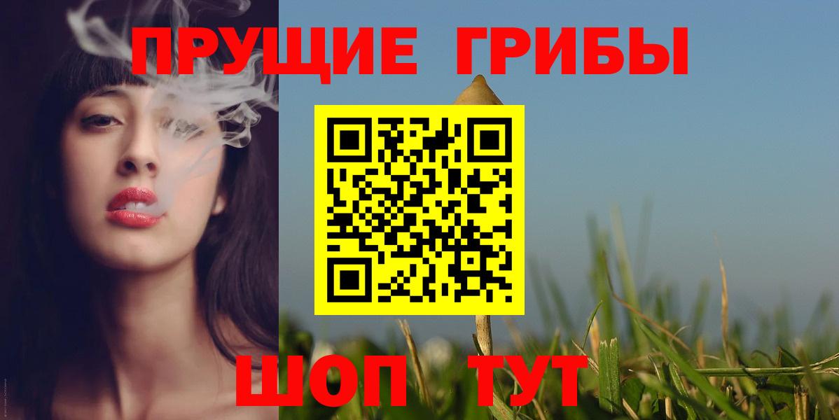 Галлюциногенные грибы Cubensis Чистополь